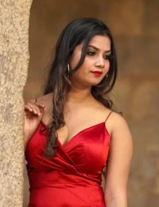 call girl service in Desuri